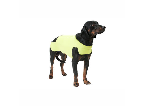Dogtech Retriver Yellow Beskyttelsesvest mot kalde/våte dager
